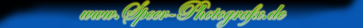 Speer Photografx